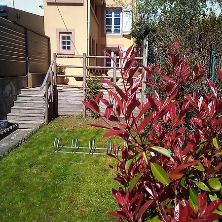 L'oasis: Centre-ville Retreat With Private Garden