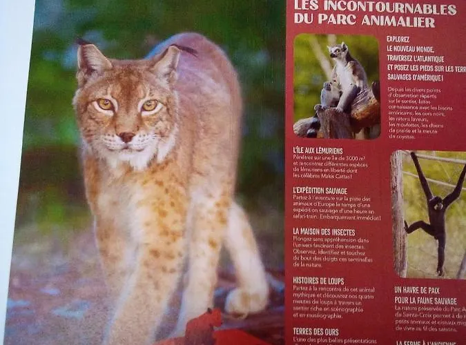 L'oasis Maisonnette Centre 3 Terrasse Espace Prive Parc Sainte Croix Center Parc 20 Minutes Apartament *