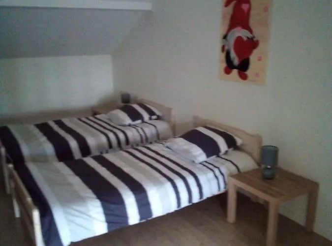 L'oasis: Centre-ville Retreat With Private Garden * Sarrebourg